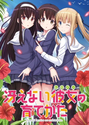 Saenai Heroine no Sodatekata: Ai to Seishun no Service Kai